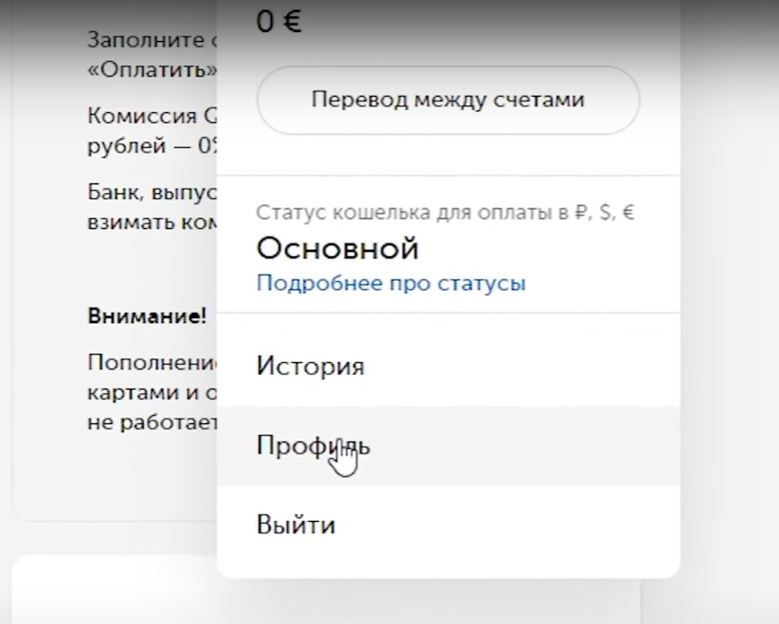 инструкция по регистрации в Зенит Уровень статуса в системе Qiwi