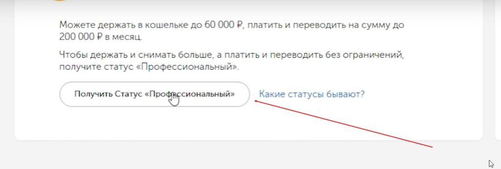 пошаговая инструкция по регистрации в БК Зенит Получить статус Профессиональный