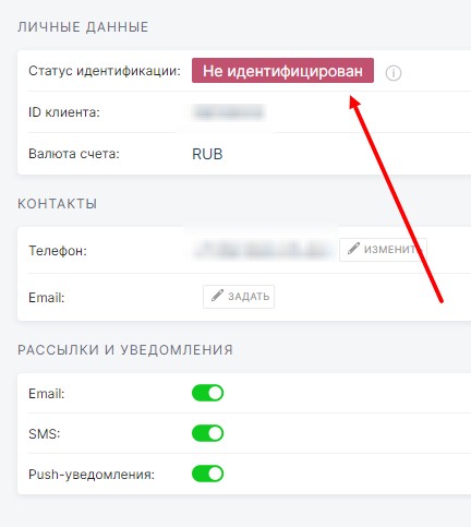 Идентификация в приложении Pari на Iphone Идентификация в приложении Pari на Iphone