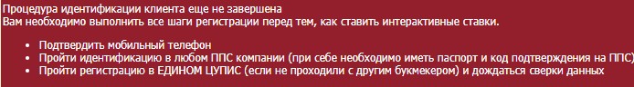 Идентификация в приложении Tennisi на Iphone Идентификация в приложении Tennisi на Iphone