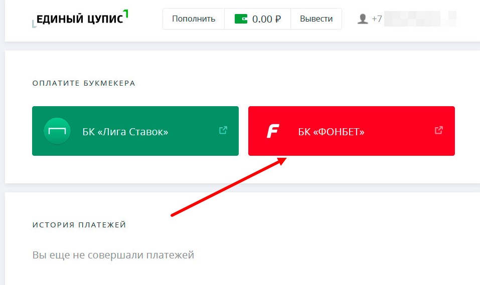 Личный кабинет через ЕЦУПИС Личный кабинет через ЕЦУПИС