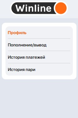 Личный кабинет в мобильной версии Winline Личный кабинет в мобильной версии Winline
