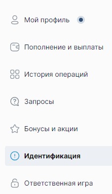 Обзор личного кабинета в приложении Fonbet на IPhone Обзор личного кабинета в приложении Fonbet на IPhone