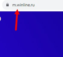 Обзор мобильной версии Winline Обзор мобильной версии Winline