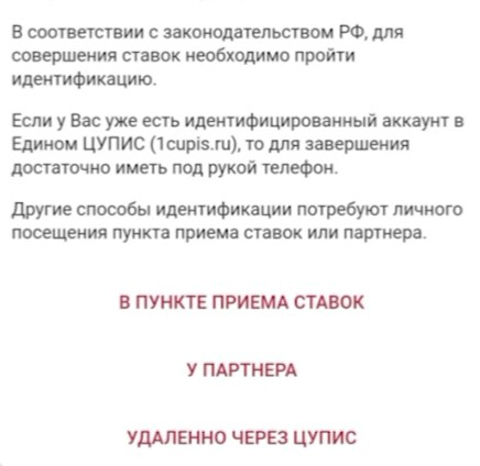 Верификация в приложении Tennisi на Iphone Верификация в приложении Tennisi на Iphone