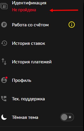 Идентификация в приложении Бет Бум на iOS Идентификация в приложении Бет Бум на iOS