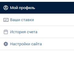 Личный кабинет в мобильной версии Зенит Личный кабинет в мобильной версии Зенит