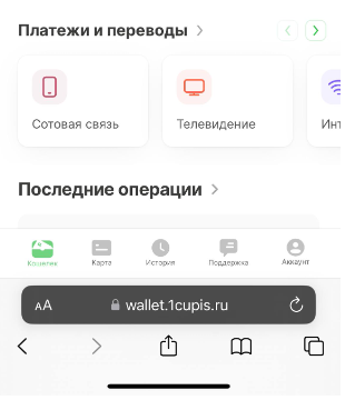 Обзор приложения кошелька ЦУПИС для iOS Обзор приложения кошелька ЦУПИС для iOS