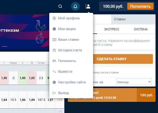 Пополнение счета у букмекера Zenit через официальный сайт Пополнение счета у букмекера Zenit через официальный сайт