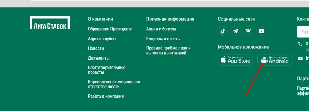 Скачать приложение Liga Stavok для Android