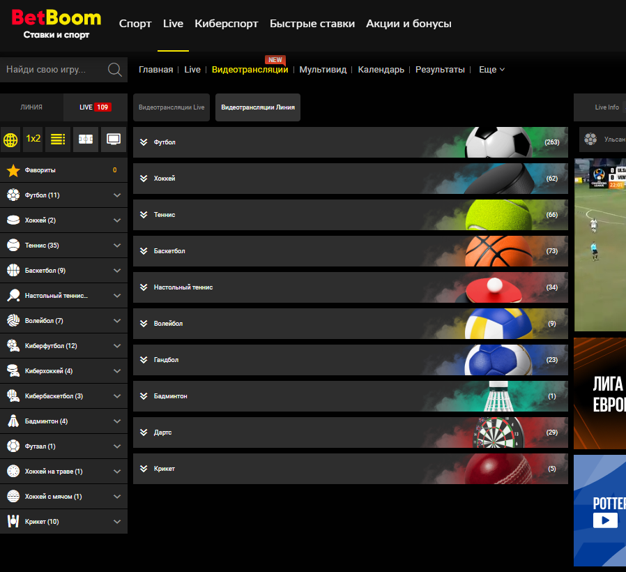 Доступные в прямом эфире виды спорта в БК Bet Boom Доступные в прямом эфире виды спорта в БК Bet Boom