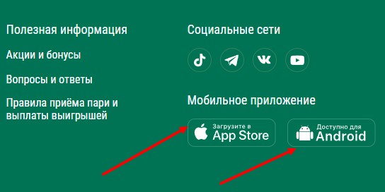 Как активировать и использовать промокоды БК Liga Stavok Как активировать и использовать промокоды БК Liga Stavok