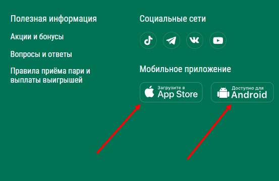 Как поставить бонус в мобильном приложении Лига Ставок Как поставить бонус в мобильном приложении Лига Ставок