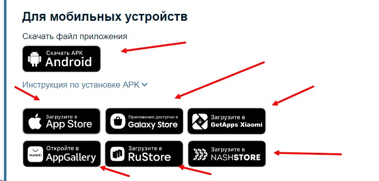 Ставка на фрибет в мобильном приложении Betcity Ставка на фрибет в мобильном приложении Betcity