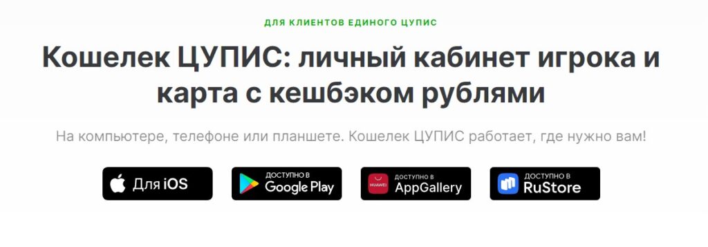 Приложение ЕЦУПИС Приложение ЕЦУПИС