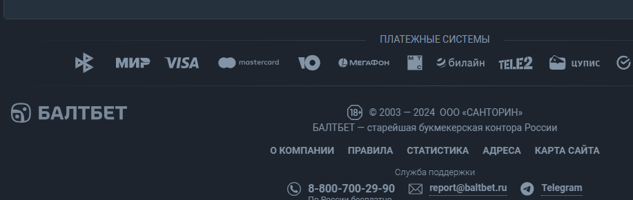 Техническая поддержка букмекерской конторы Балтбет Техническая поддержка букмекерской конторы Балтбет