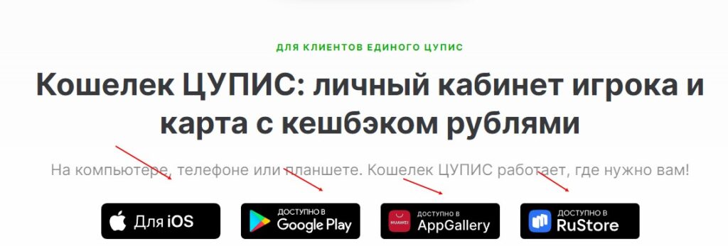 Кошелек ЦУПИС Кошелек ЦУПИС